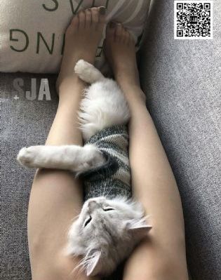 精品一区二区男人吃奶_剧情片完整版观看