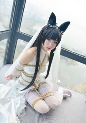 欧美高清hd视频免费播放_BD高清视频观看